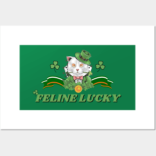 Feline Lucky for Saint Patrick's Day (MD23Val002d) Posters and Art